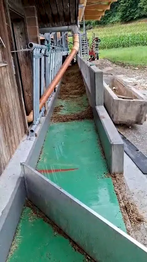 Fütterung